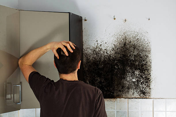 Best Certified Mold Removal  in Columbiana, AL